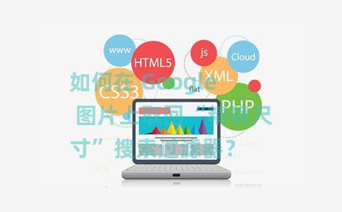 如何在 Google 图片上取回“精确尺寸”搜索过滤器？